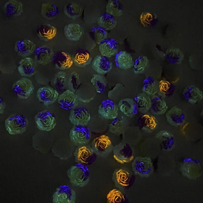 50pcs Acrylic Resin Rose Flower Charms - Glow In The Dark Series 3D Cabochons for DIY Phone Cases, Keychains, Fridge Decor & Accessories