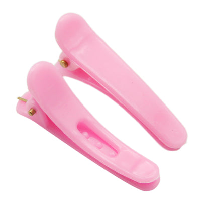 10Pcs Classic Fresh Candy Colors Plastic Hair Clips for Women and Girls, Casual Leisure Hair Accessories with Gift Photo Props