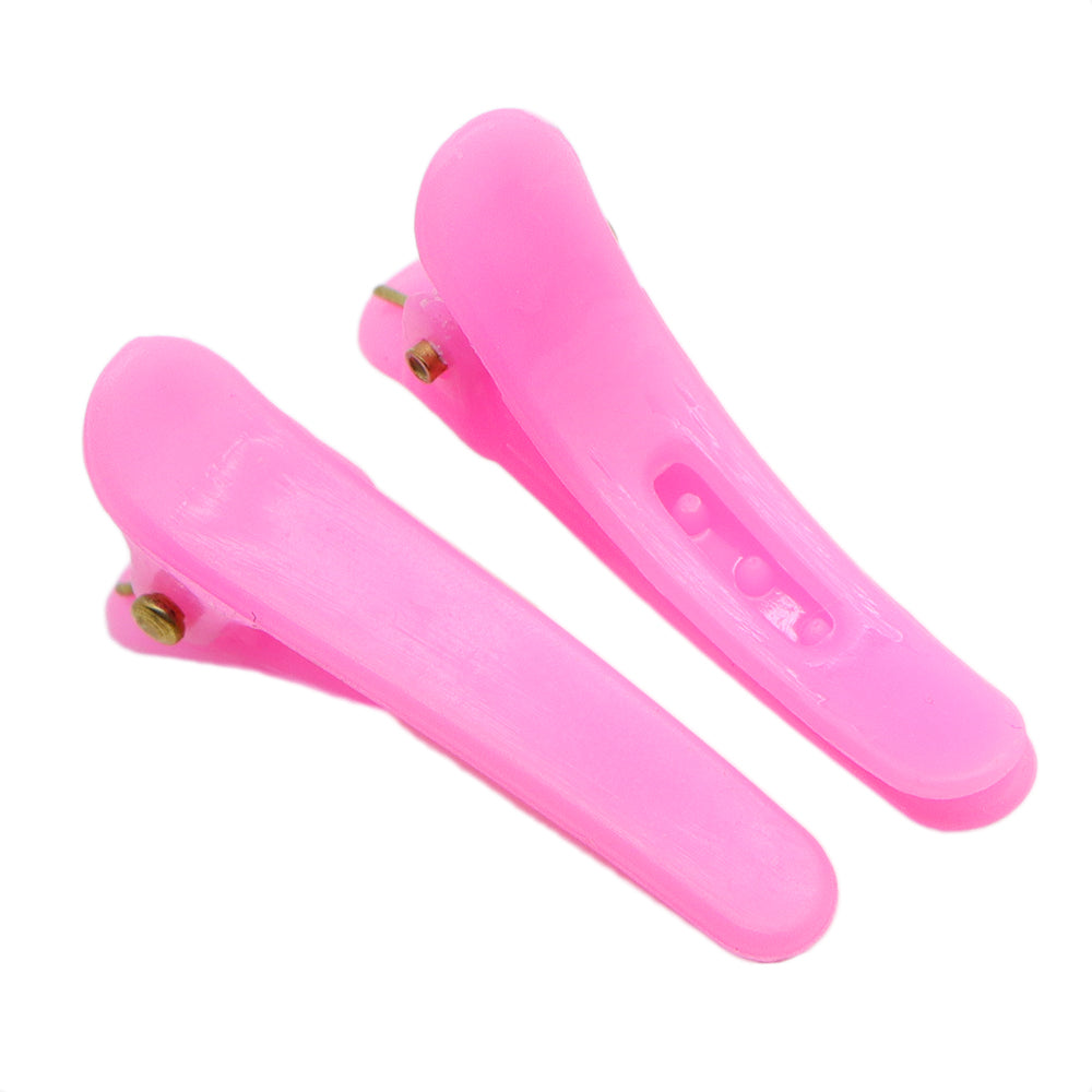 10Pcs Classic Fresh Candy Colors Plastic Hair Clips for Women and Girls, Casual Leisure Hair Accessories with Gift Photo Props