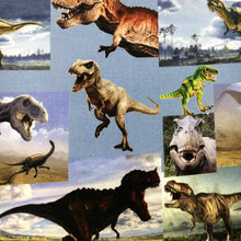 Load image into Gallery viewer, Dinosaur Theme Printed Fabric
